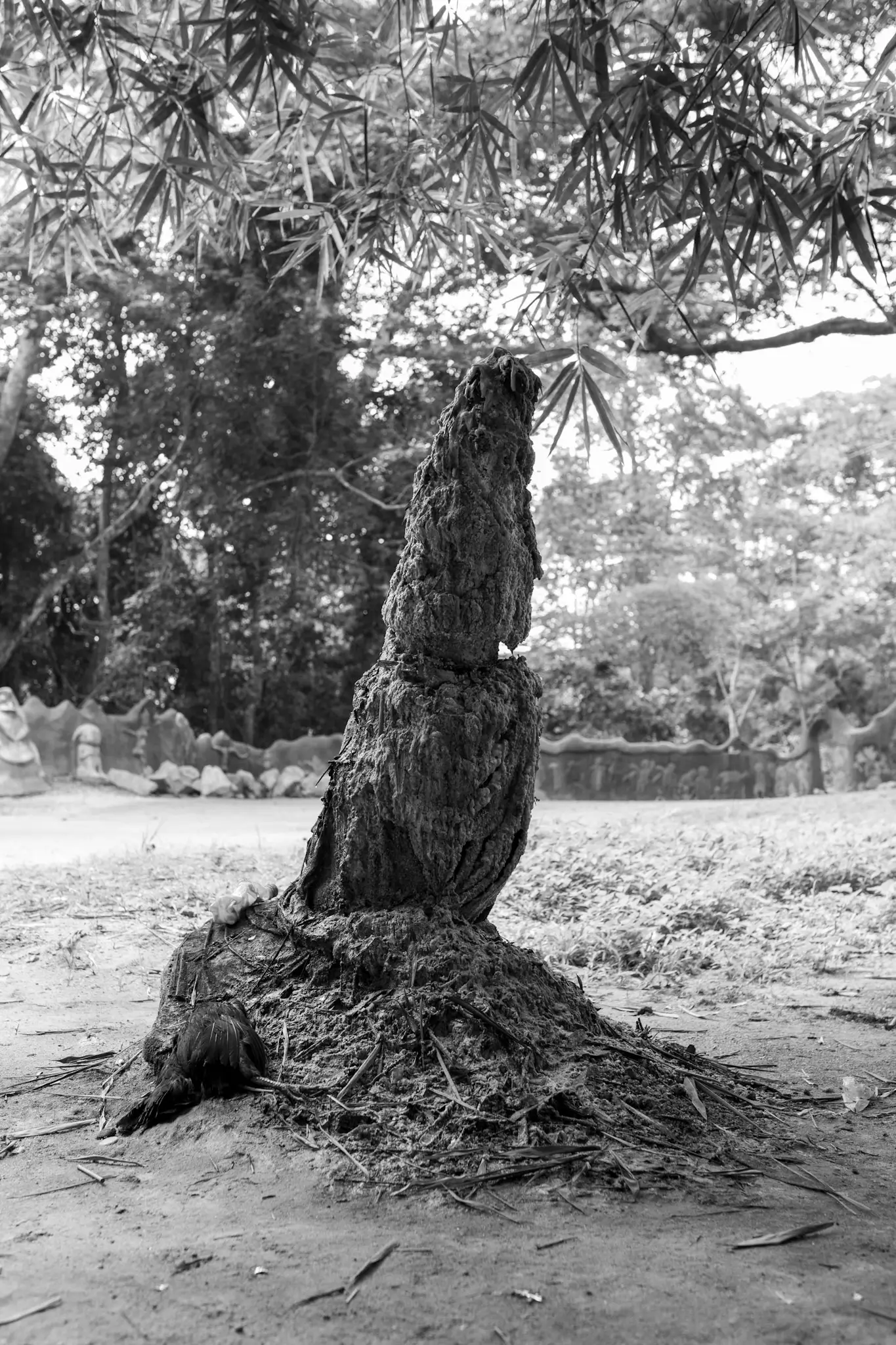 Osun Grove